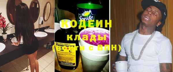 ПСИЛОЦИБИНОВЫЕ ГРИБЫ Богданович