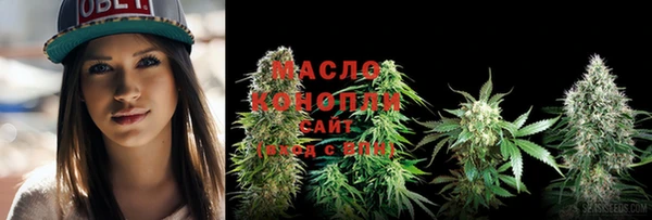 твердый Богородск