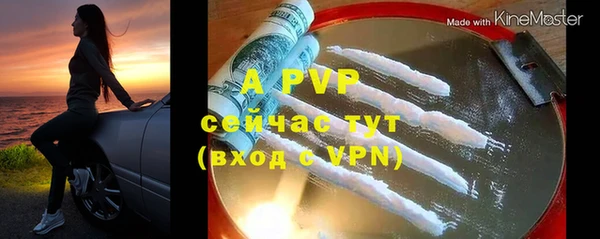 гидра Приозерск