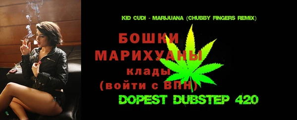 ПСИЛОЦИБИНОВЫЕ ГРИБЫ Богданович
