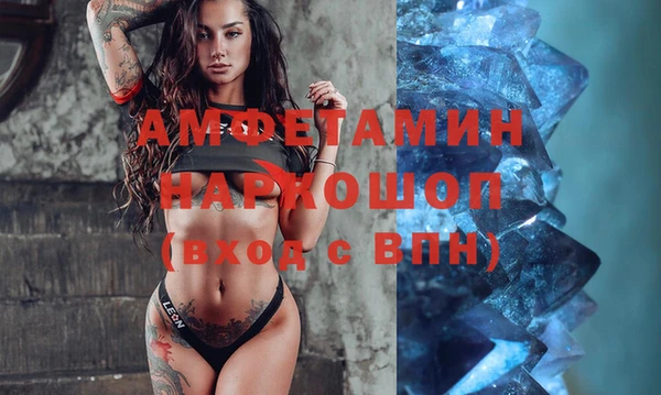 ПСИЛОЦИБИНОВЫЕ ГРИБЫ Богданович