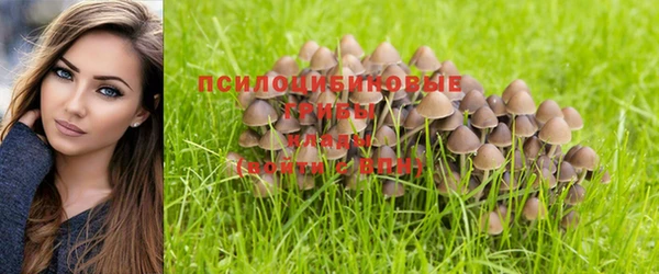 прущая мука Бородино